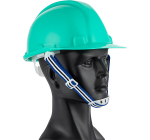 Chinstrap