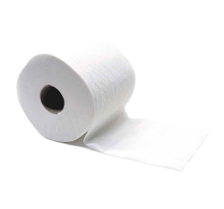 Toilet Paper
