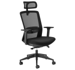 Aila Ergo High Back Chair