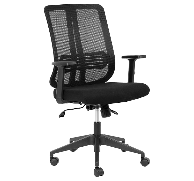 Lenny Medium Back Chair